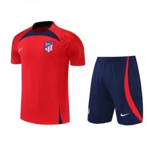 Conjunto de Entrenamiento Atlético de Madrid