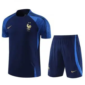 Conjunto de Entrenamiento Selección Francia