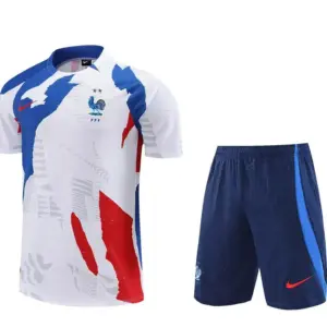Conjunto de Entrenamiento Selección Francia