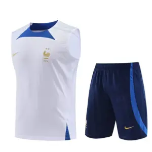 Conjunto de Entrenamiento Selección Francia