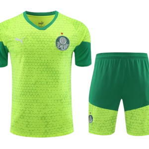 Conjunto de Entrenamiento Sociedade Esportiva Palmeiras 2024/25